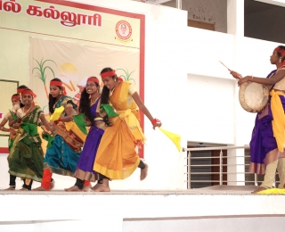 Culturals