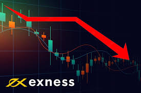 Exploring Exness Social Trading A Comprehensive Guide