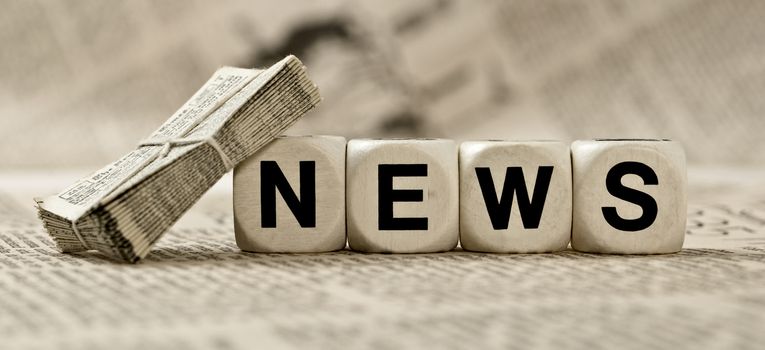 Fundación Tortuga une ciencia pasión y protección ambiental 4