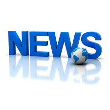 Fundación Tortuga une ciencia pasión y protección ambiental 4