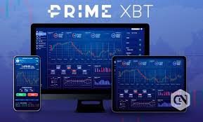 PrimeXBT Forex Your Gateway to Successful Trading
